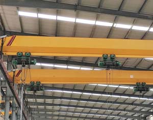 Philippine Buyer Customized 2 sets 16 Ton Bridge Crane